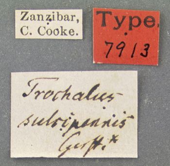 Media type: image;   Entomology 7913 Aspect: labels